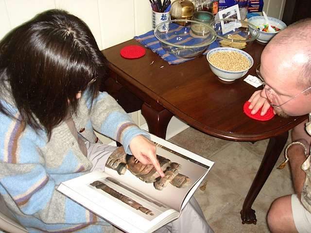 Looking at Butsu Zo pictures