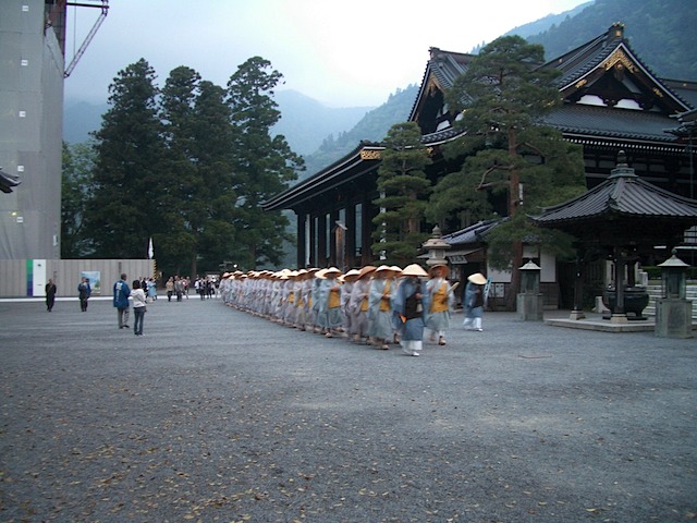 IMGP8868